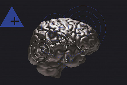 От классического к живому менеджменту