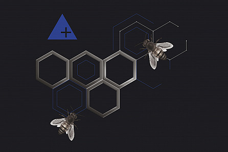 От органов власти к органам управления