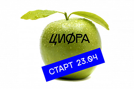 Стартовал новый сезон вебинаров по региональной цифровизации