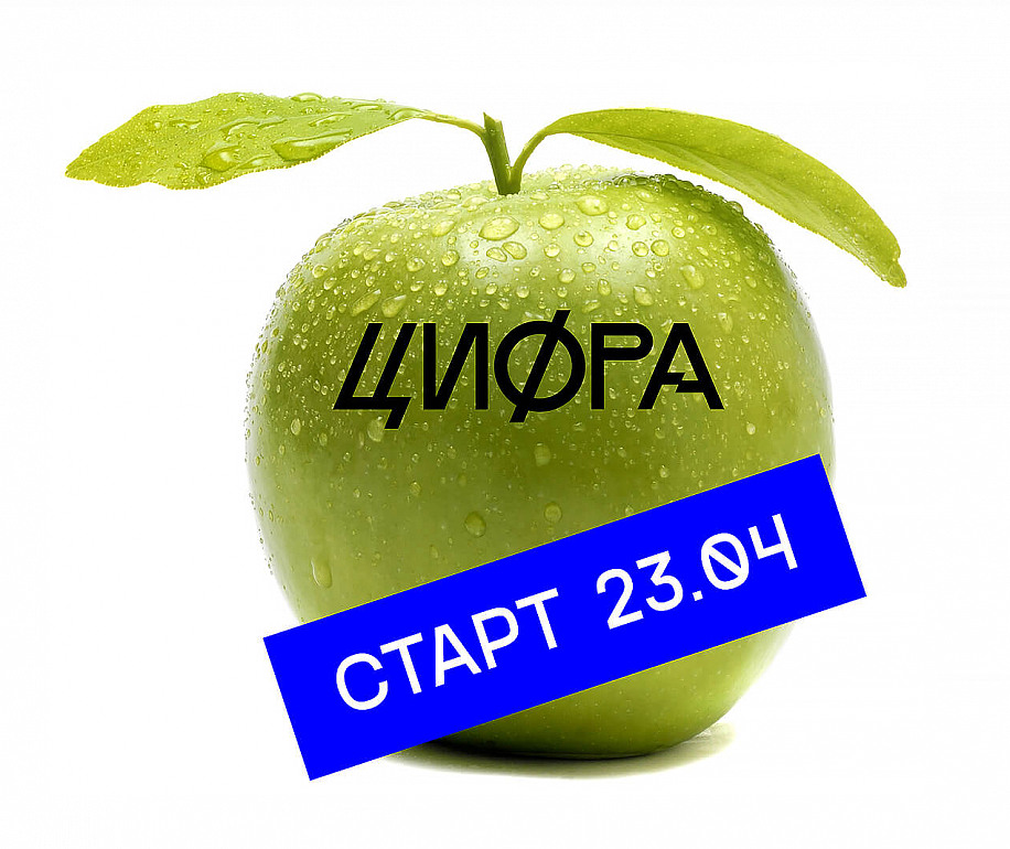 Стартовал новый сезон вебинаров по региональной цифровизации